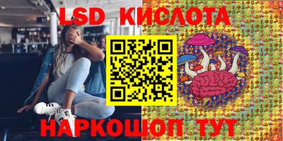 сатива Волжский
