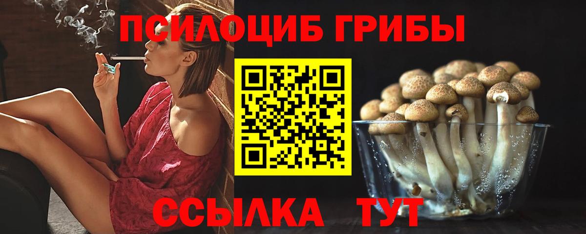 Галлюциногенные грибы прущие грибы  Вход с VPN  Галлюциногенные грибы MAGIC MUSHROOMS  Брянск 